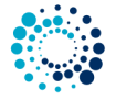RS CONSULTING SERVICES